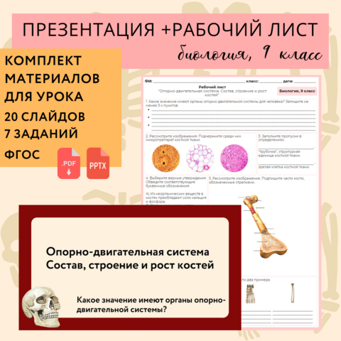 Урок по биологии 