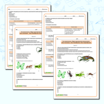 Рабочий лист 