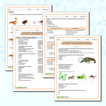 Рабочий лист 