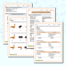 Рабочий лист 