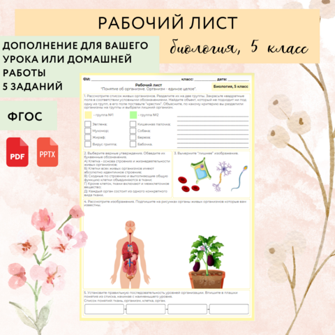 Рабочий лист “Понятие об организме. Организм - единое целое”, урок биологии, 5 класс (Пасечник 