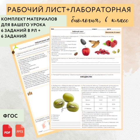 Рабочий лист + лабораторная работа “Строение семени”, урок биологии, 6 класс (Пасечник 