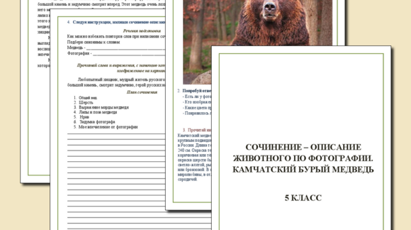 Обложка материала