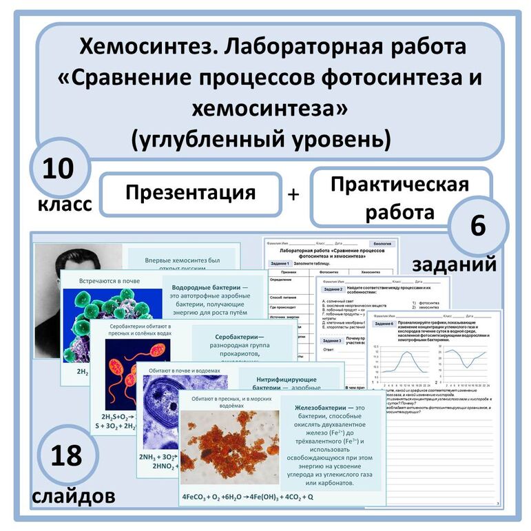 Комплект по биологии (презентация + лабораторная работа) "Хемосинтез ...