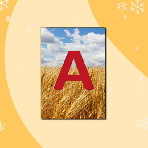 Буквы алфавита