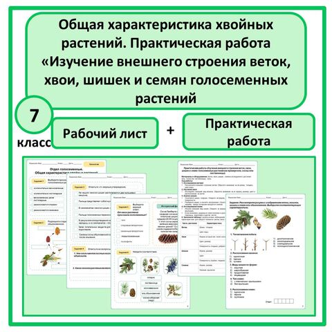 Комплект по биологии (рабочий лист + практическая работа) 