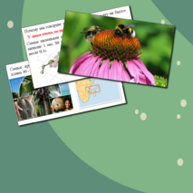 Презентация по биологии. Строение семени.