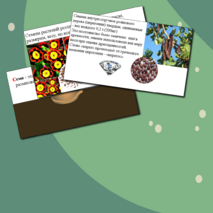 Презентация по биологии. Строение семени.