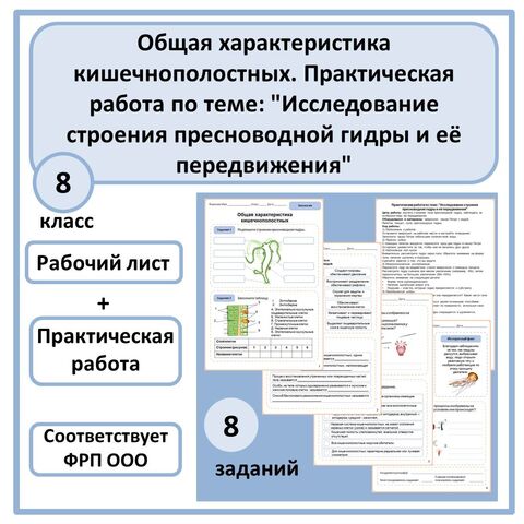 Комплект по биологии (рабочий лист + практическая работа) 