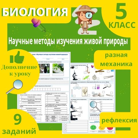 Рабочий лист по теме: 