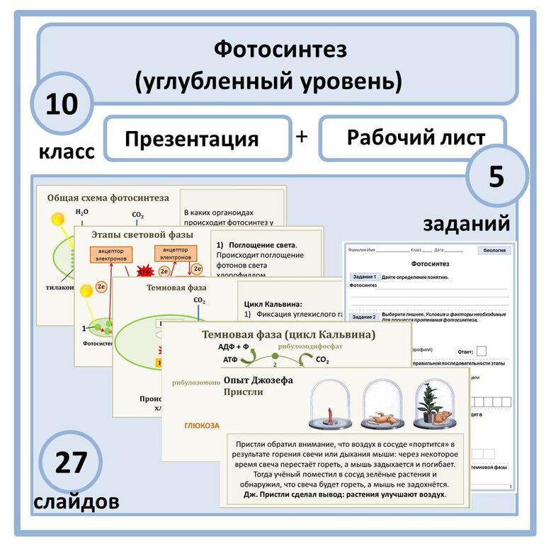 Комплект по биологии (презентация + рабочий лист) "Фотосинтез" 10 класс ...