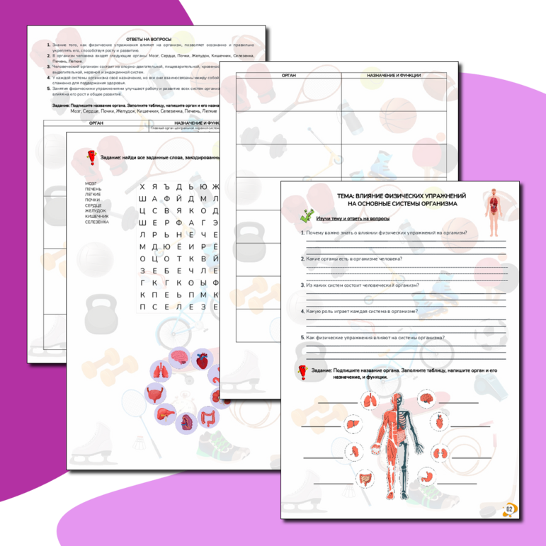 Рабочий лист по физической культуре: Влияние физических упражнений на основные системы организма