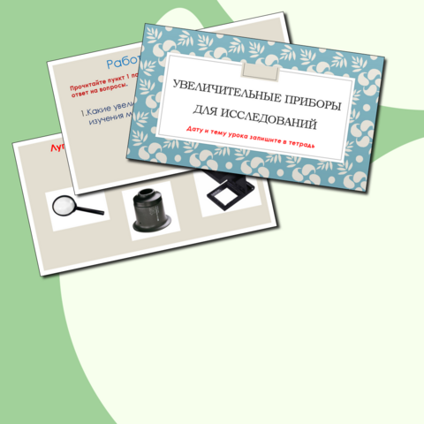 Презентация по биологии 5 класс 