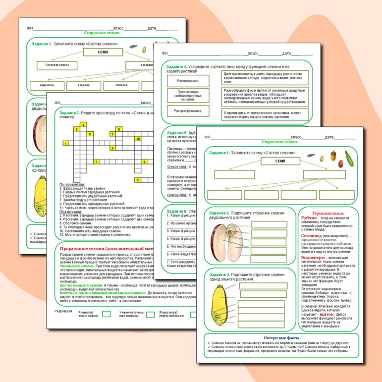 Рабочий лист по теме 