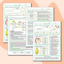 Рабочий лист по теме 
