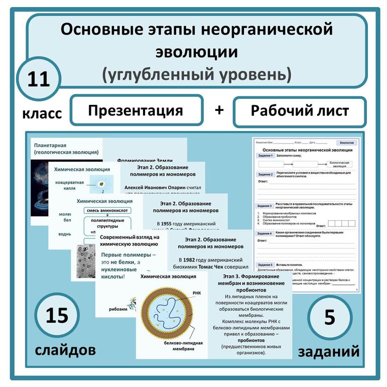 Комплект по биологии (презентация + рабочий лист) "Основные этапы ...