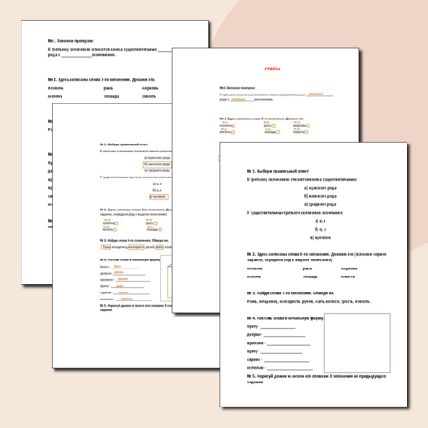 Карточки-тренажёры "3 склонение имён существительных" (3 класс, русский язык)