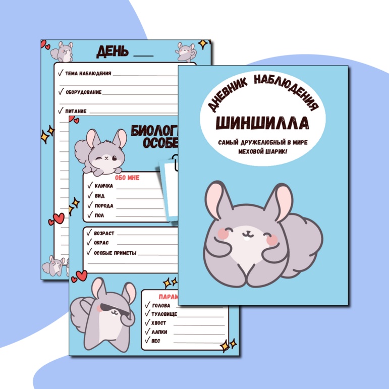 Дневник наблюдения за животными: шиншилла