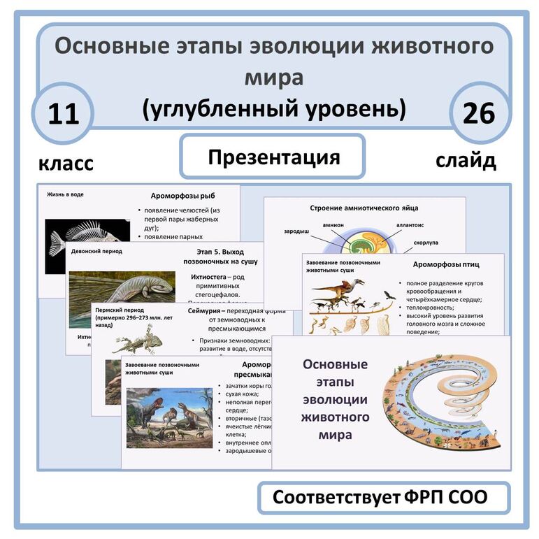 Конспект урока по биологии для 11 класса на тему «Основные этапы ...