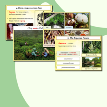 Презентация по истории Древнего мира на тему: 