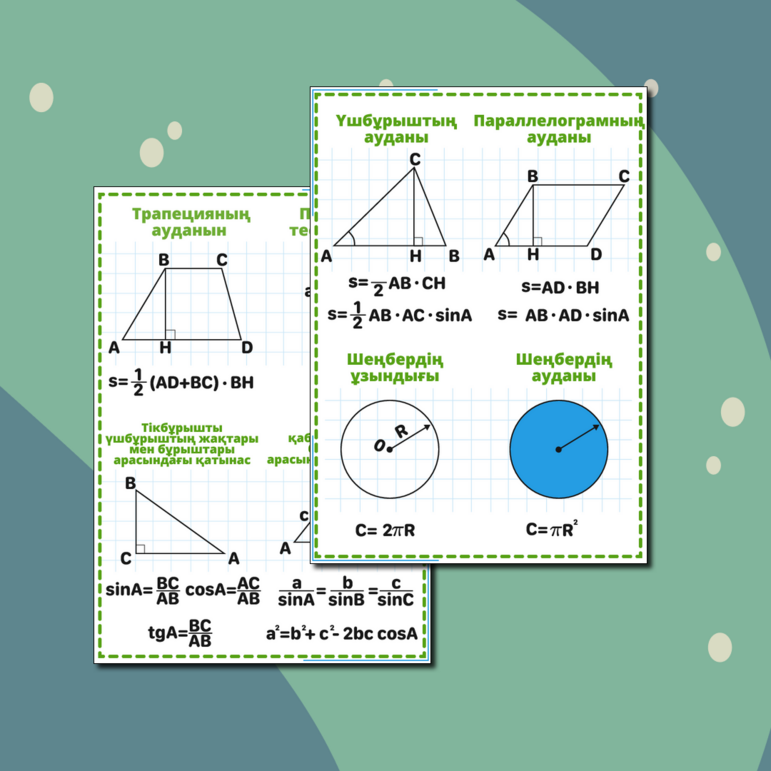 Ең үлкен еркек жыныс мүшесі