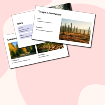 Презентация 