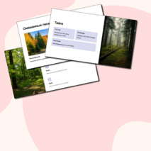 Презентация 