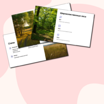 Презентация 