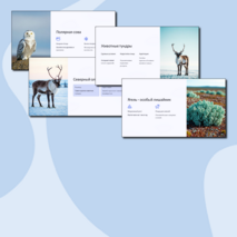 Презентация 