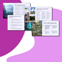 Презентация 