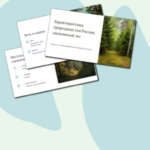 Презентация 