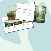 Презентация 