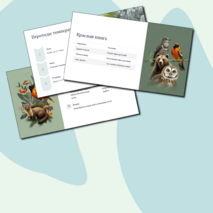 Презентация 