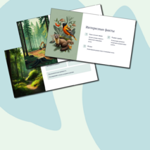 Презентация 