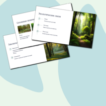 Презентация 