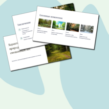 Презентация 