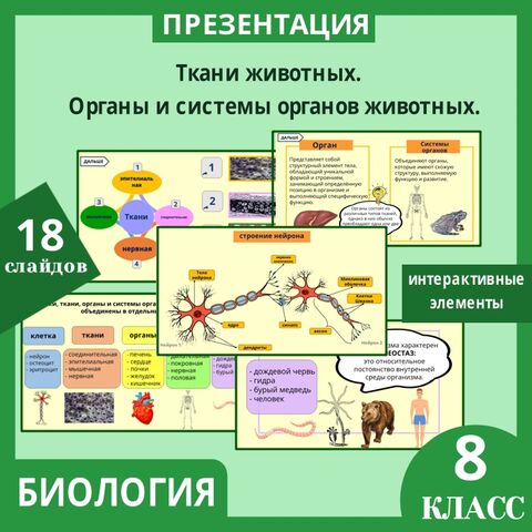 Презентация на тему: 
