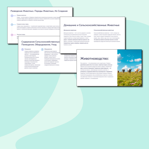 Презентация 