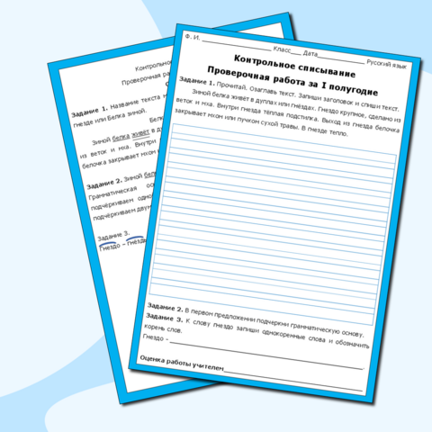 Контрольное списывание по русскому языку за 1 полугодие 2 класс