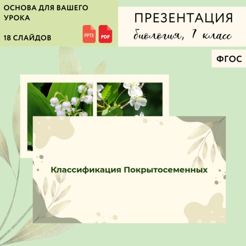 Презентация 
