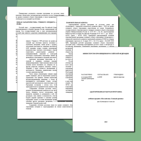 Адаптированная рабочая программа по Русскому языку для обучающихся с ОВЗ (ЗПР) / (8 класс)