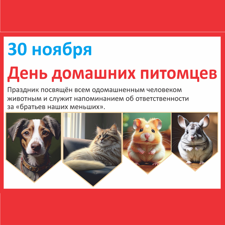 А4 - Плакат День Домашних Питомцев 30 НОЯБРЯ