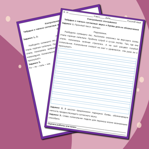 Контрольное списывание по русскому языку 