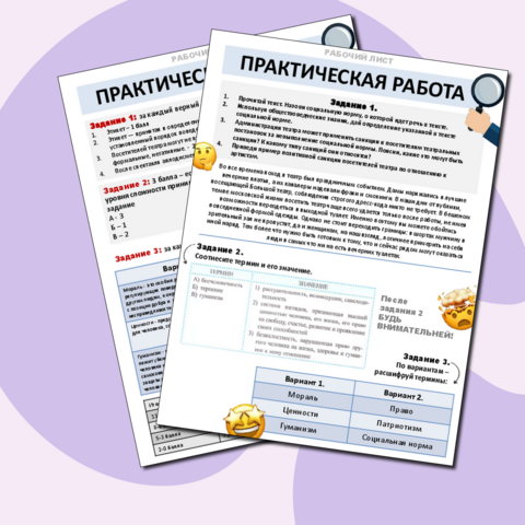 Практическая работа по обществознанию 