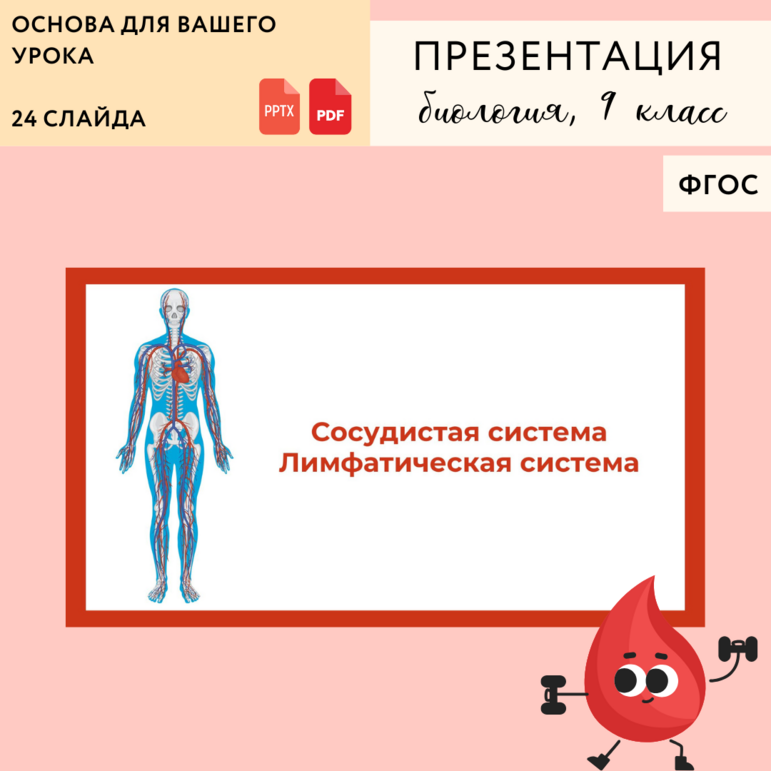 Презентация "Сосудистая система. Лимфатическая система", урок биологии ...