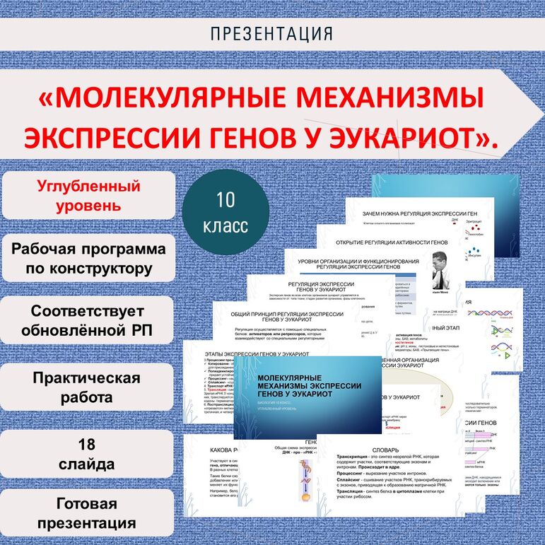 Презентация «Молекулярные механизмы экспрессии генов у эукариот ...