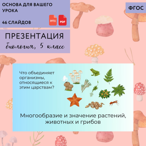 Презентация 