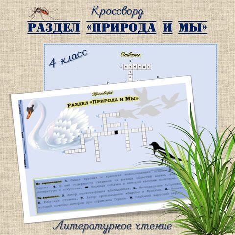Раздел 