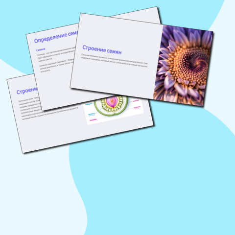 Урок биологии "Строение семян" 6 класс