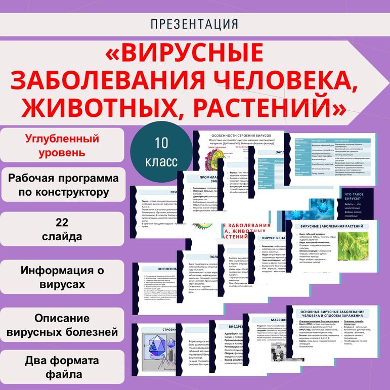 Презентация «Вирусные заболевания человека, животных, растений ...